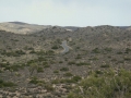 Joshua Tree NP